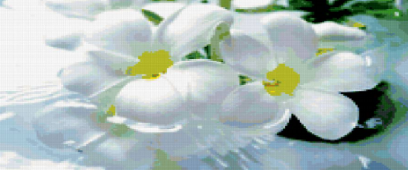 Вышивка крестом.схема для подушки «белые цветы»